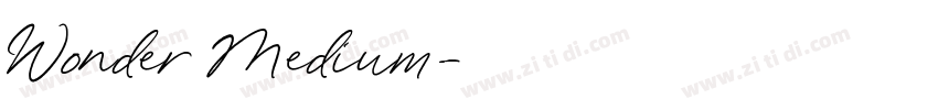Wonder Medium字体转换